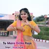 About Tu Mara Dilko Rajo Song